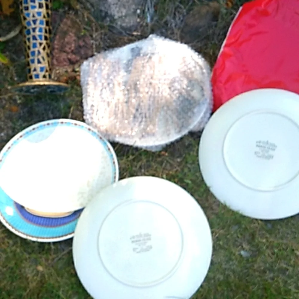 Pharaoh Mikasa Indian Feast 8